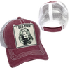 I BEG YOUR PARTON BALL CAP