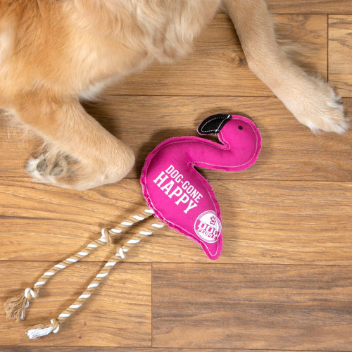Happy - Canvas Dog Toy on Rope