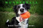 WUNDERball Fetch Toy