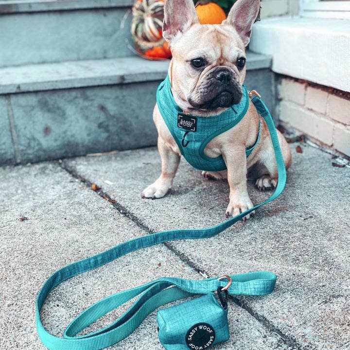 Dog Waste Bag Holder