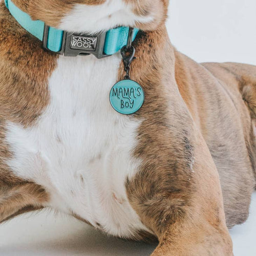 Dog Collar Mama's Boy/Girl Tag