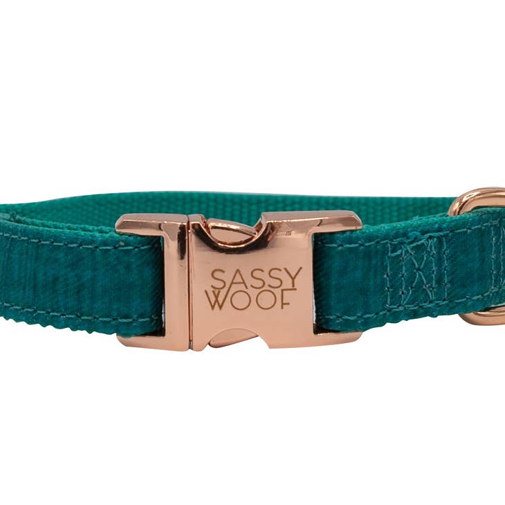 Sassy Woof Dog Collar