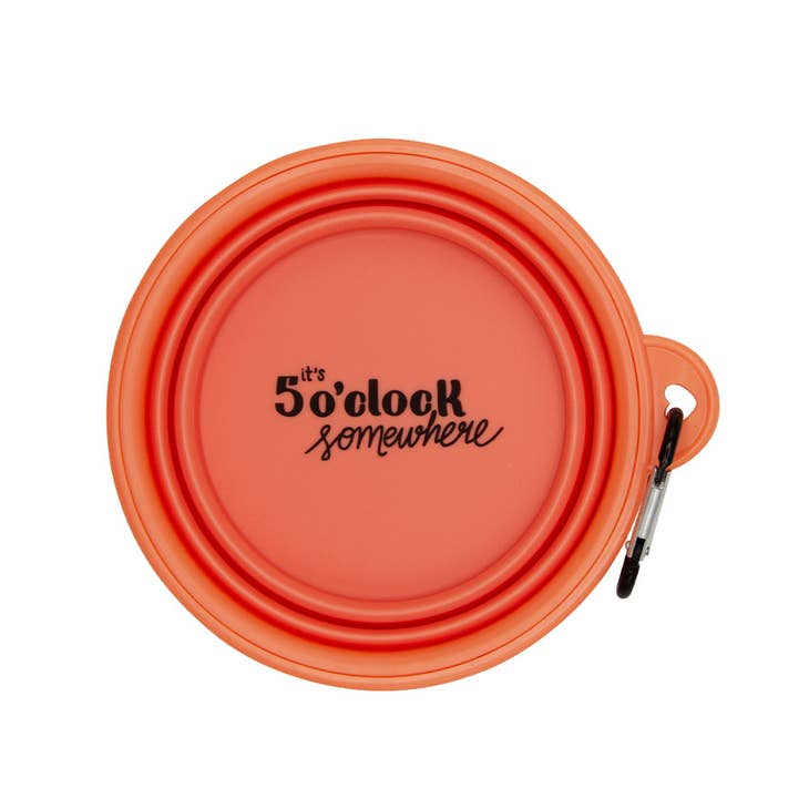 Collapsible Dog Bowl
