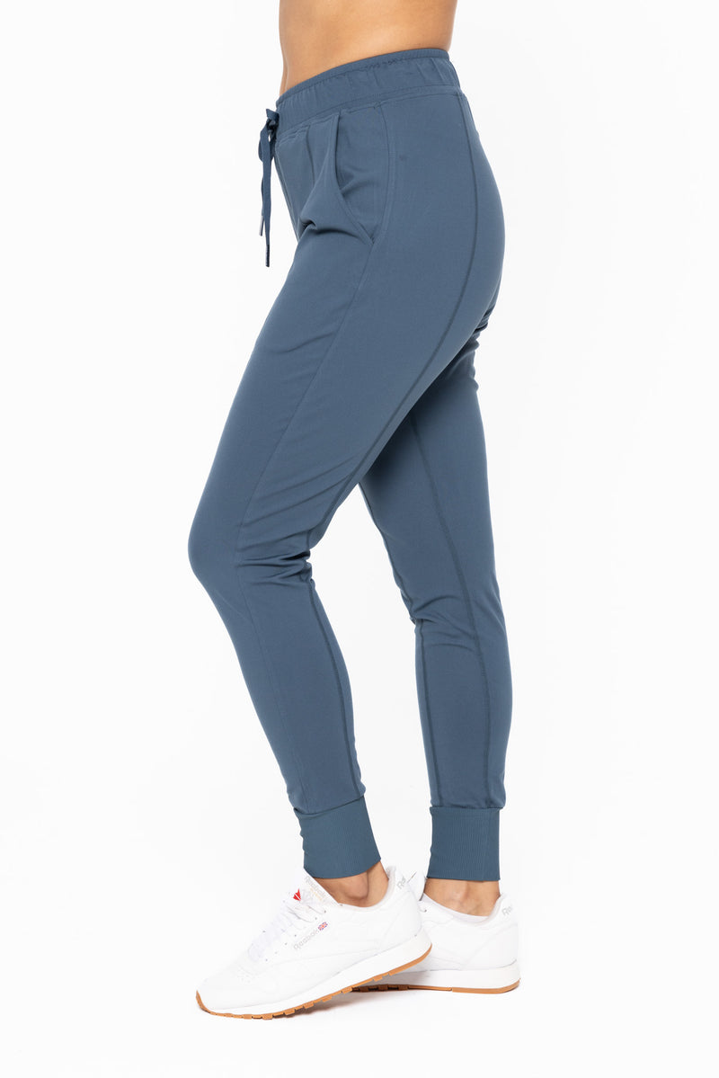 Mono B Slim Fit Paneled Joggers