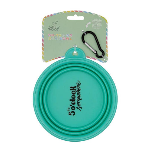 Collapsible Dog Bowl