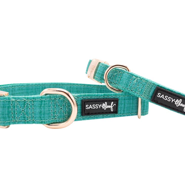 Sassy Woof Dog Collar