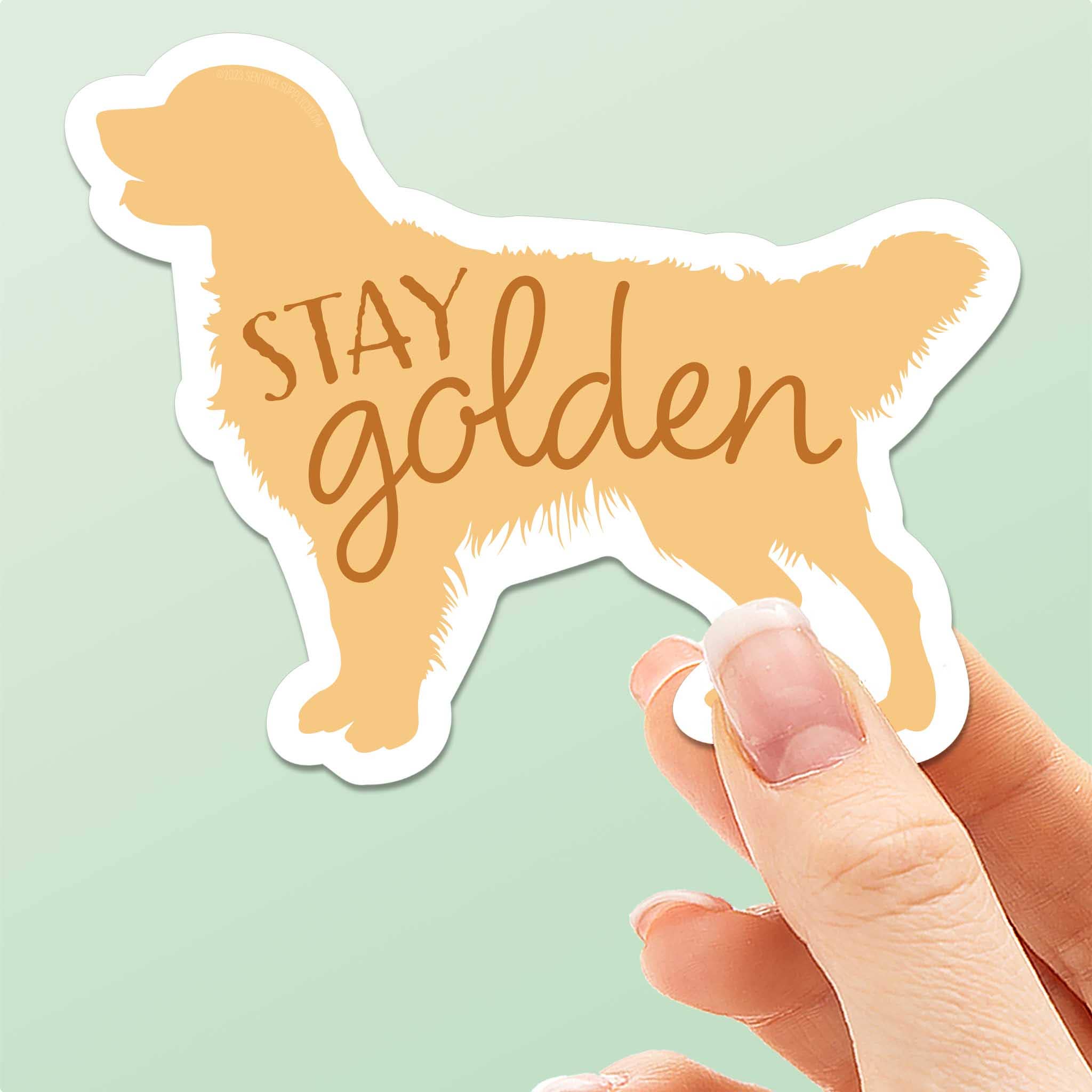Golden Bc Sticker Stay Golden - Cute Golden Retriever Dog Sticker β Chelsea Pacifica